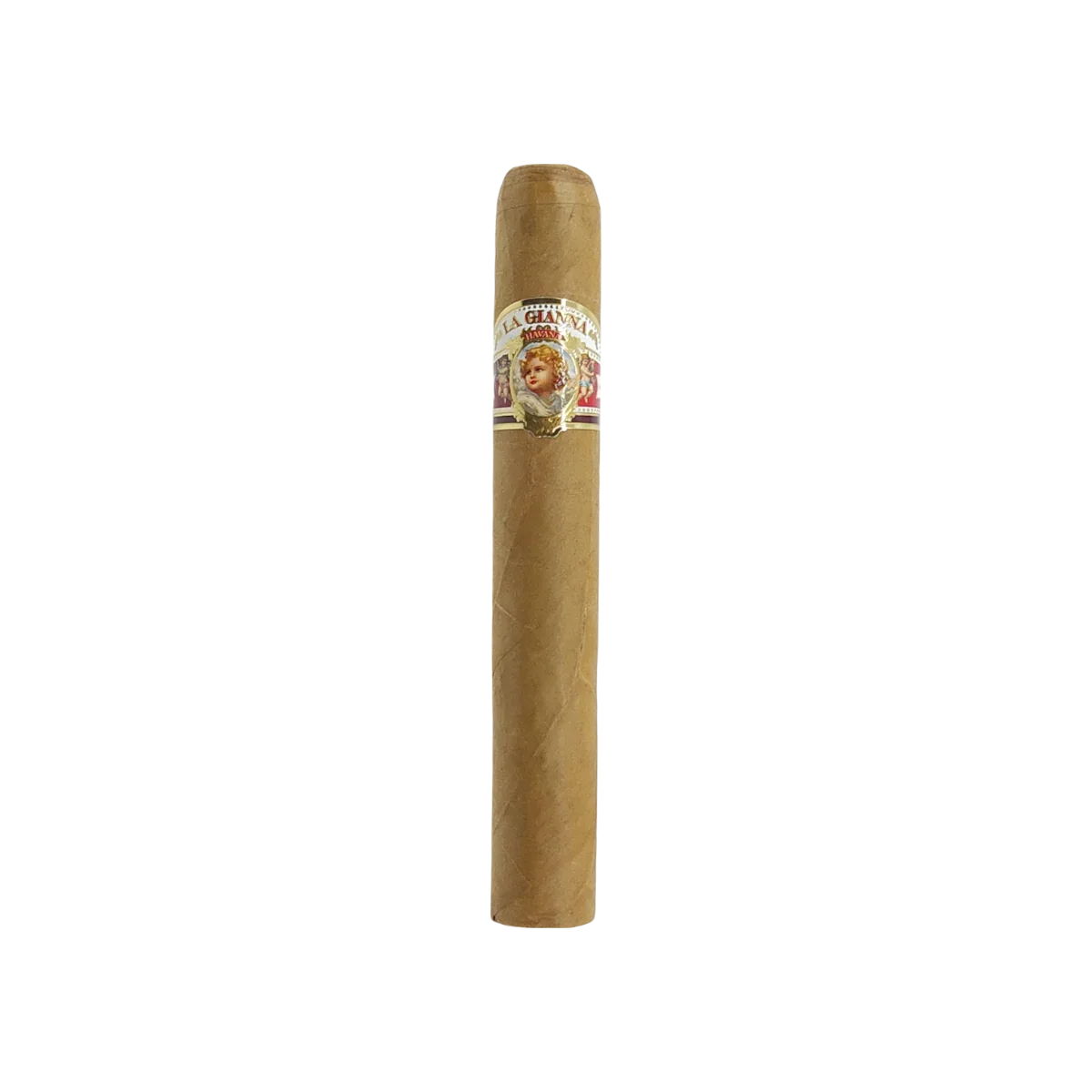 Robusto Single
