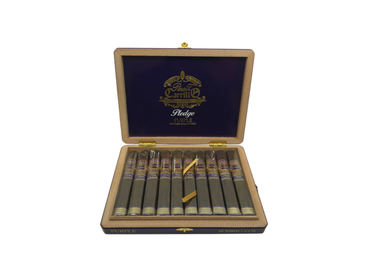 Casa Carrillo Pledge Purple