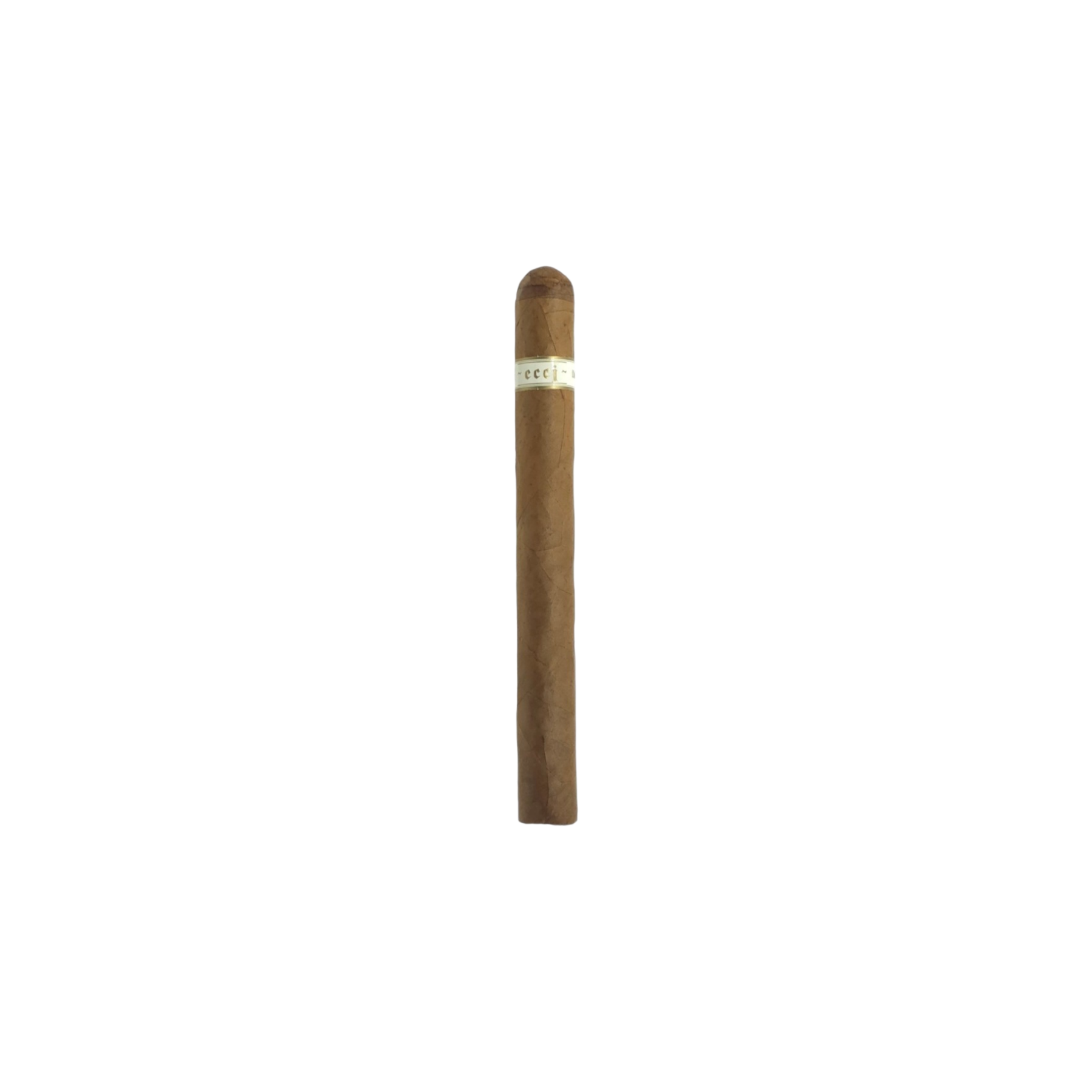 illusione ECCJ 20th