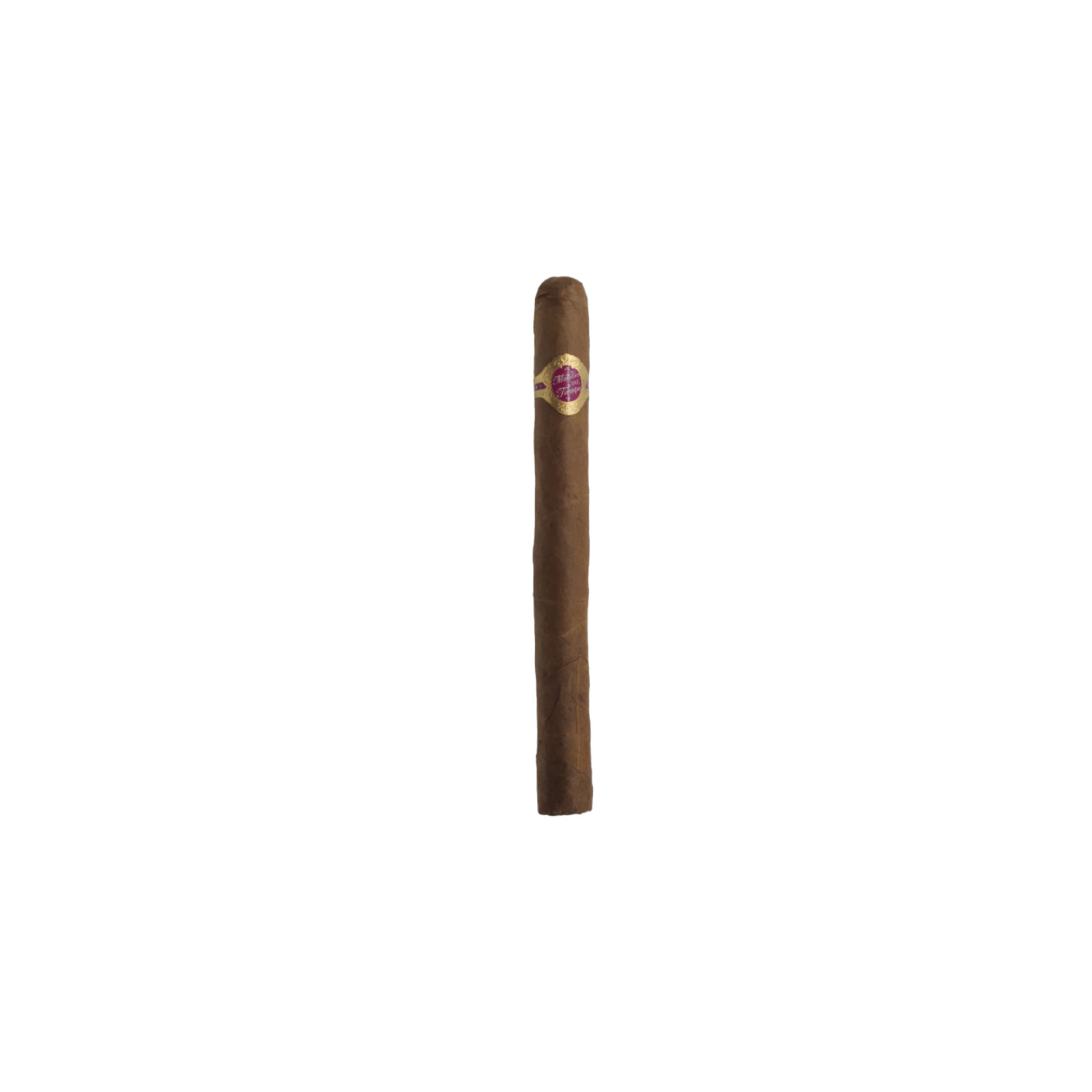 Warped Maestro Del Tiempo 5205 - Discontinued