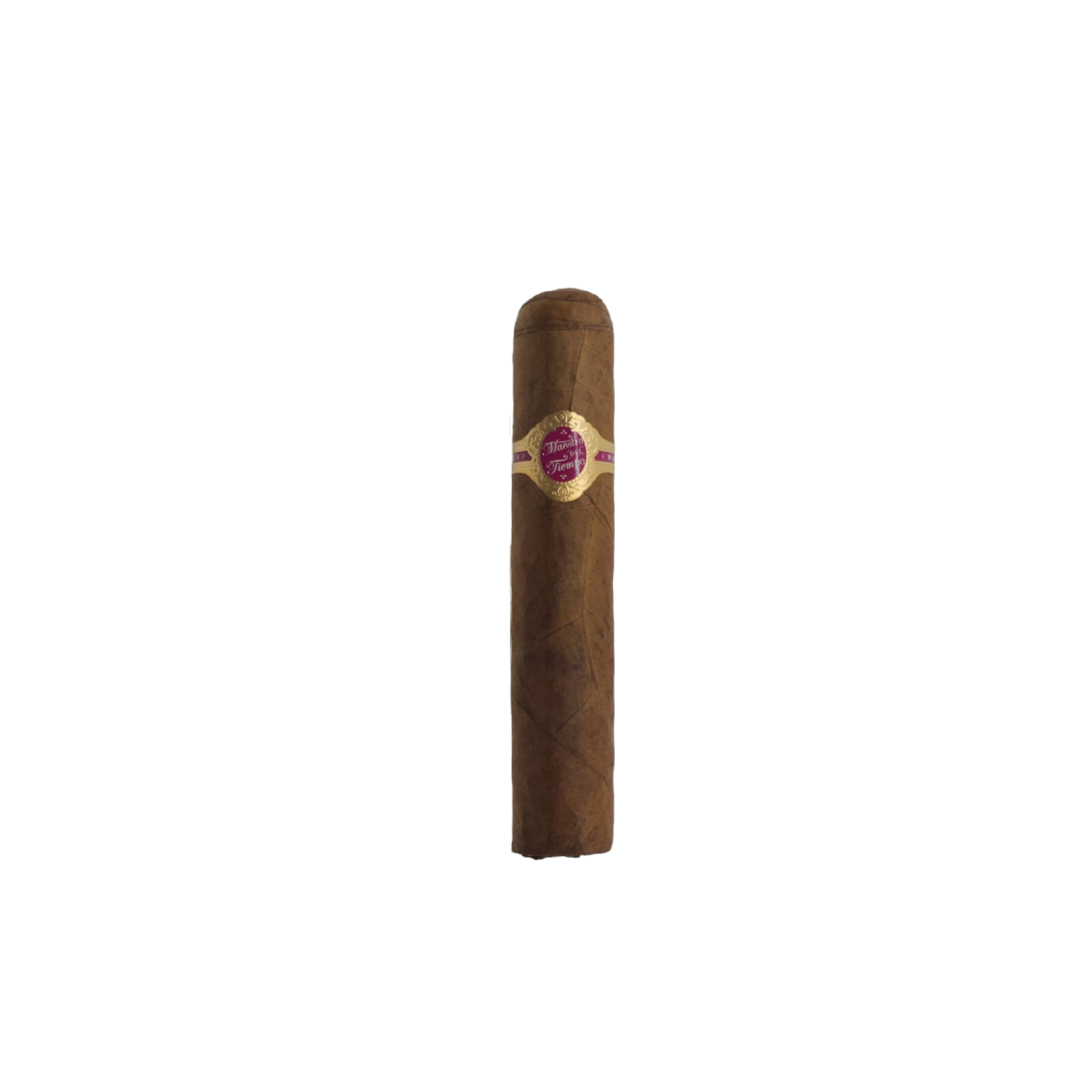 Warped Maestro Del Tiempo 5712 - Discontinued