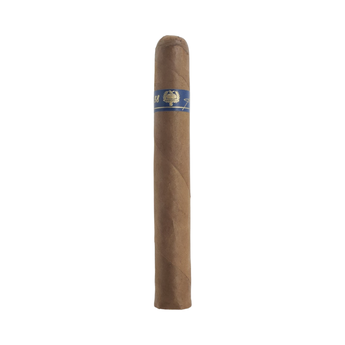 Lost and Found 22 Minutes to Midnight Criollo Classico Toro