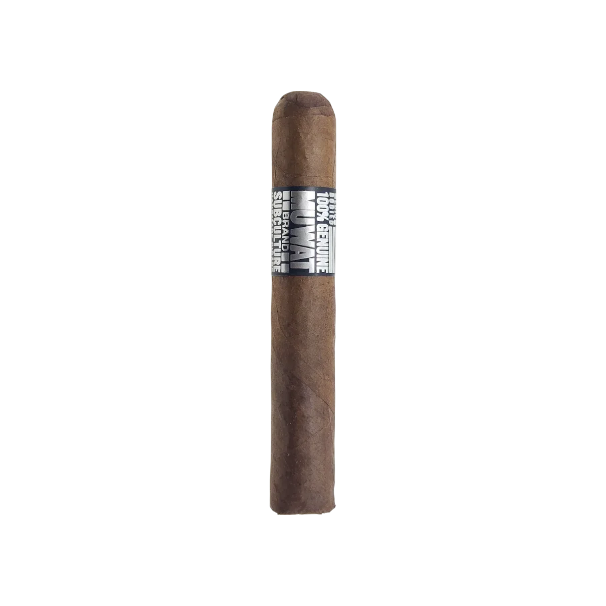 6x60 Box of 10