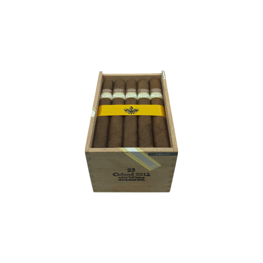 Cojonu 2012 Sumatra