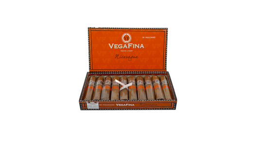 Vegafina Nicaragua Vulcano