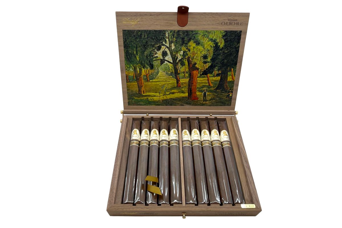 Davidoff Winston Churchill Limited LE 2025 - The Artist
