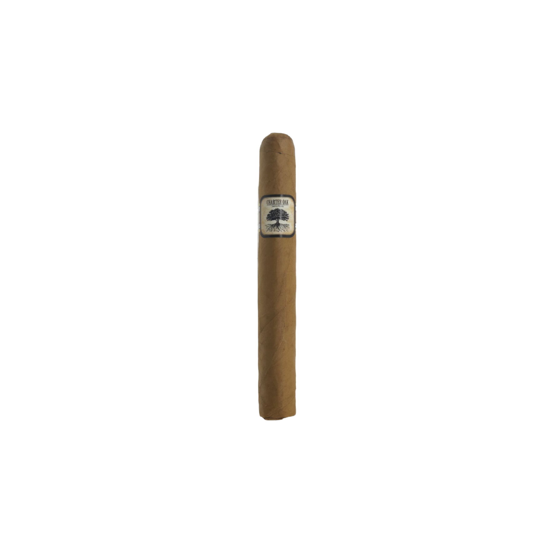 Charter Oak Connecticut Shade Toro