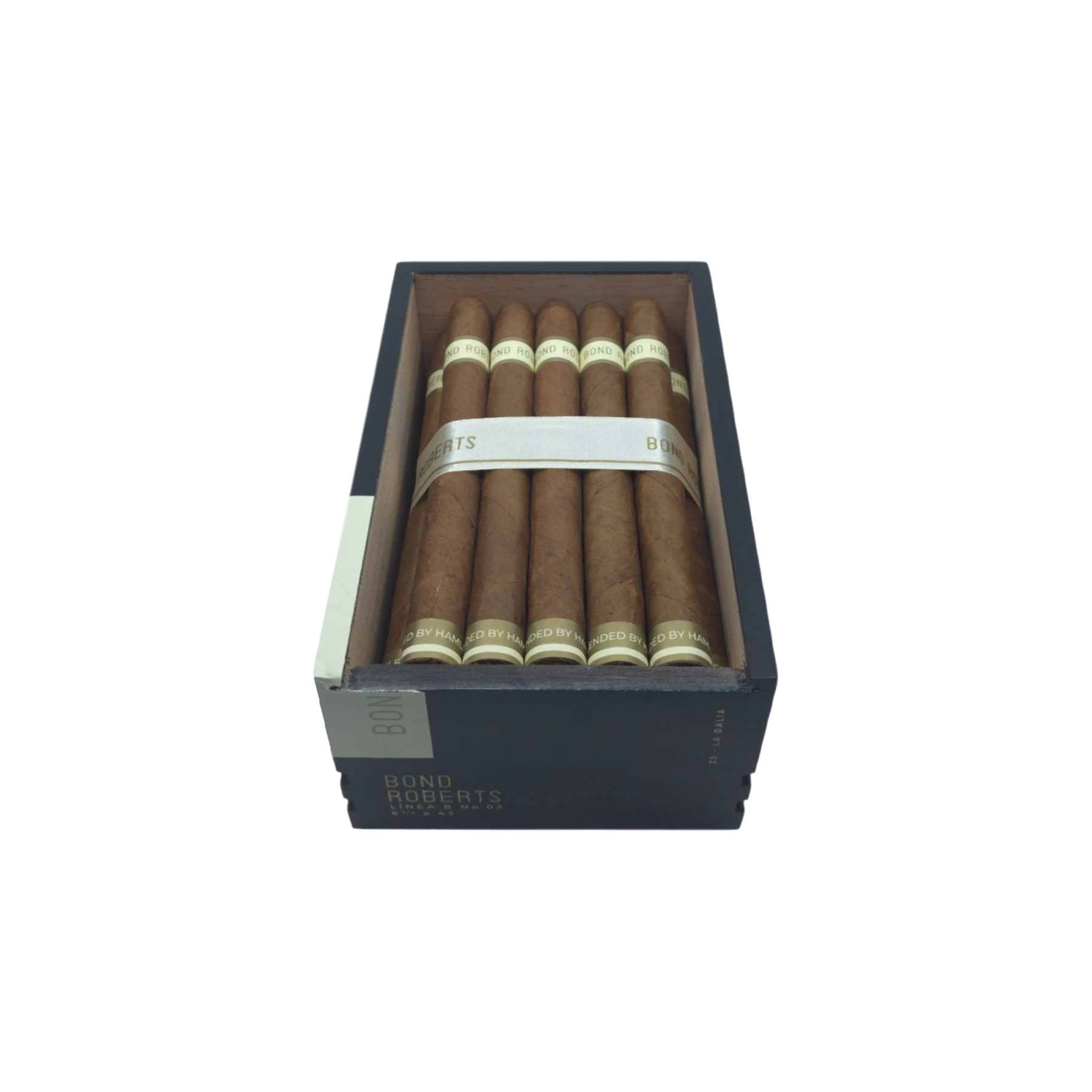 Linea B No.03 La Dalia