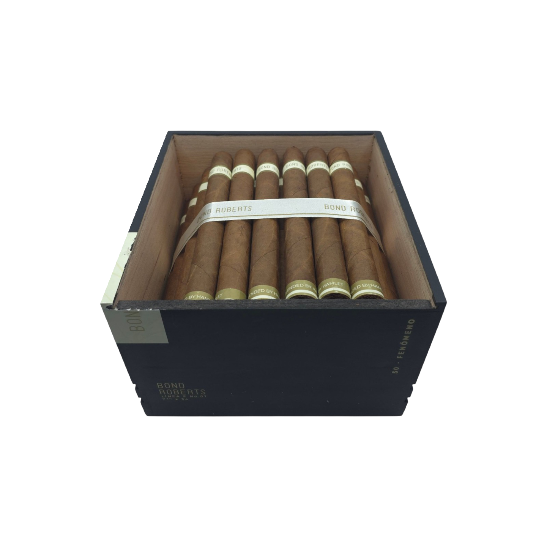Linea E No.01 Fenomeno Single