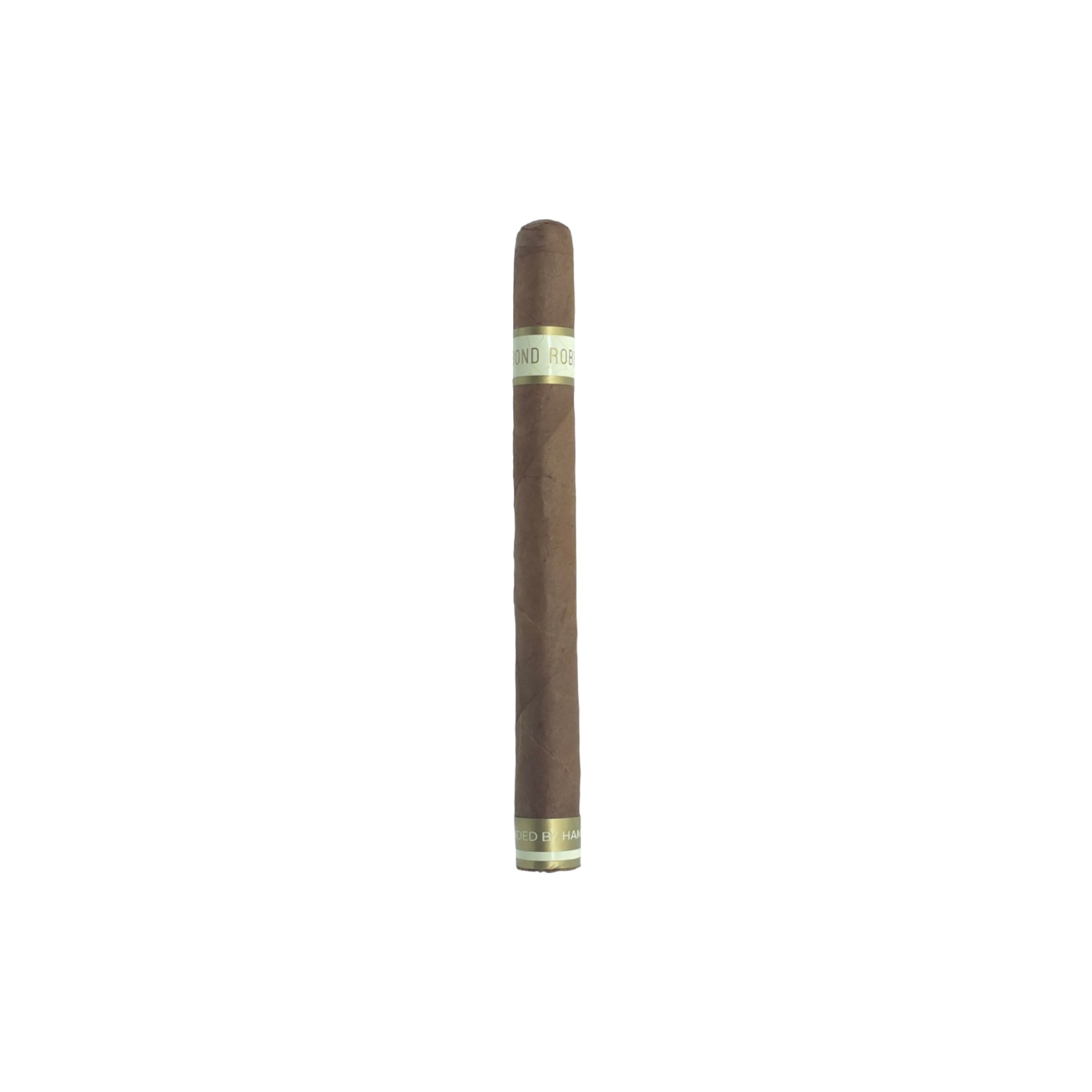 Linea E No.01 Fenomeno
