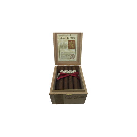 Privada H99 Toro