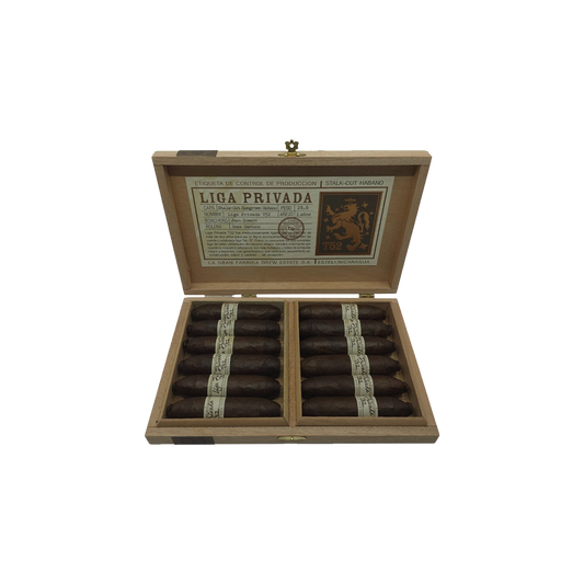 Privada T52 Flying Pig