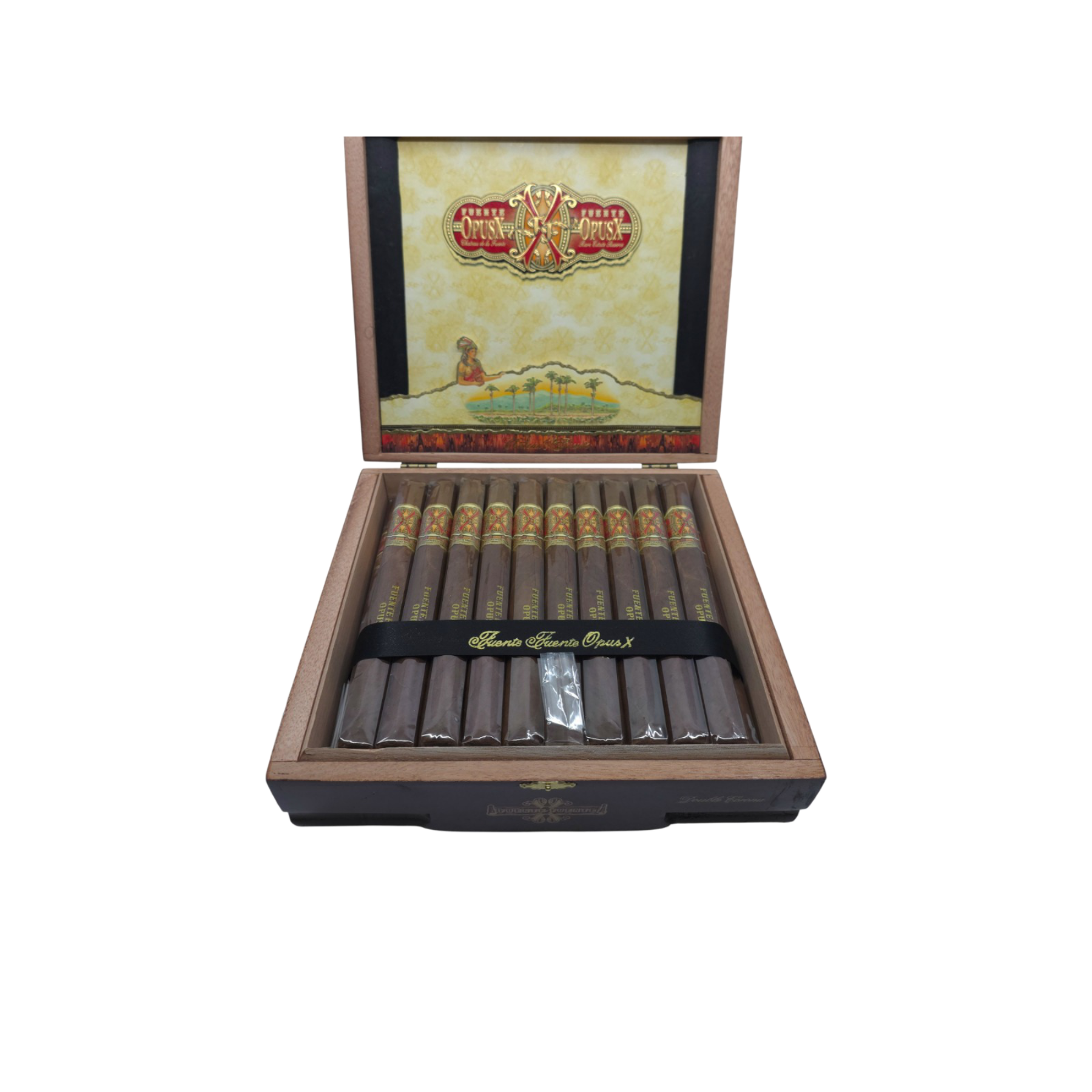 OpusX Double Corona