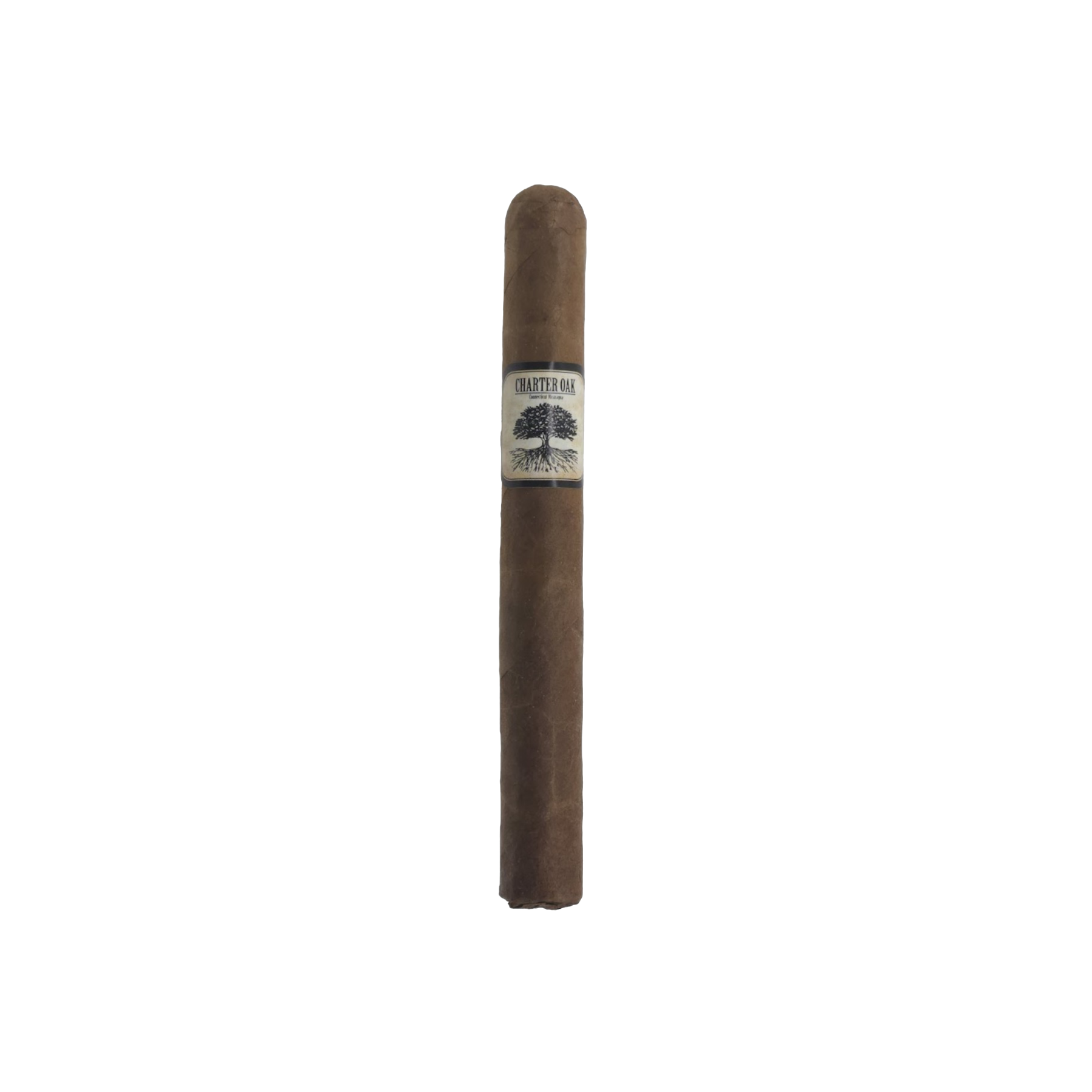 Charter Oak Habano Petite Corona