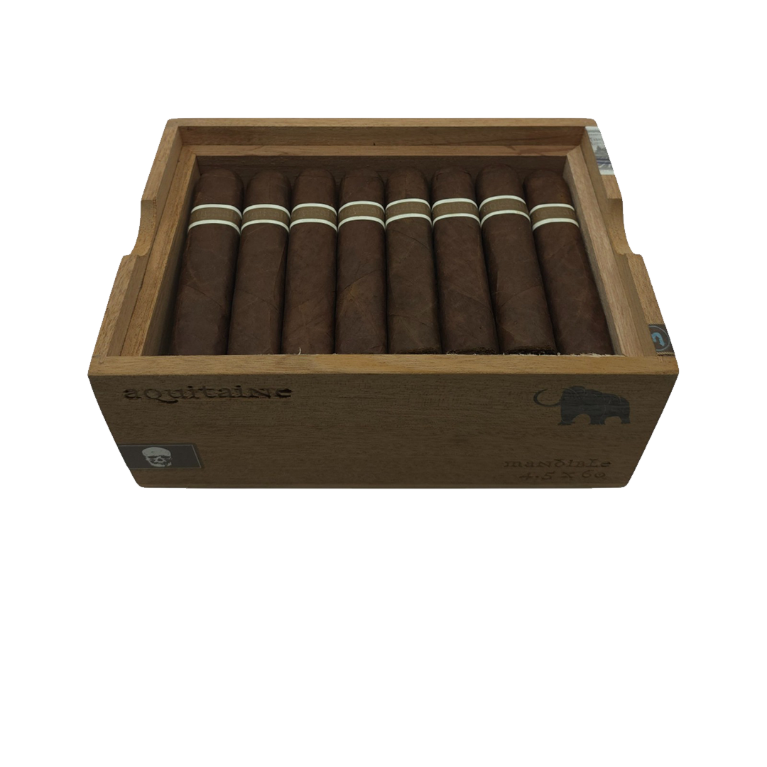 Cromagnon Aquitaine Mandible Mastodon Single