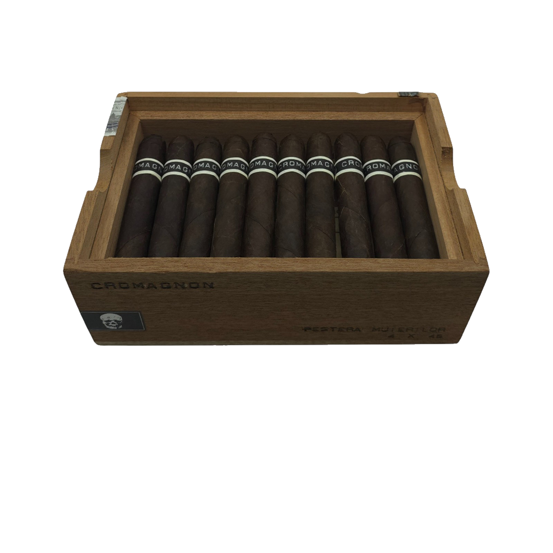 Cromagnon Pestera Muierilor