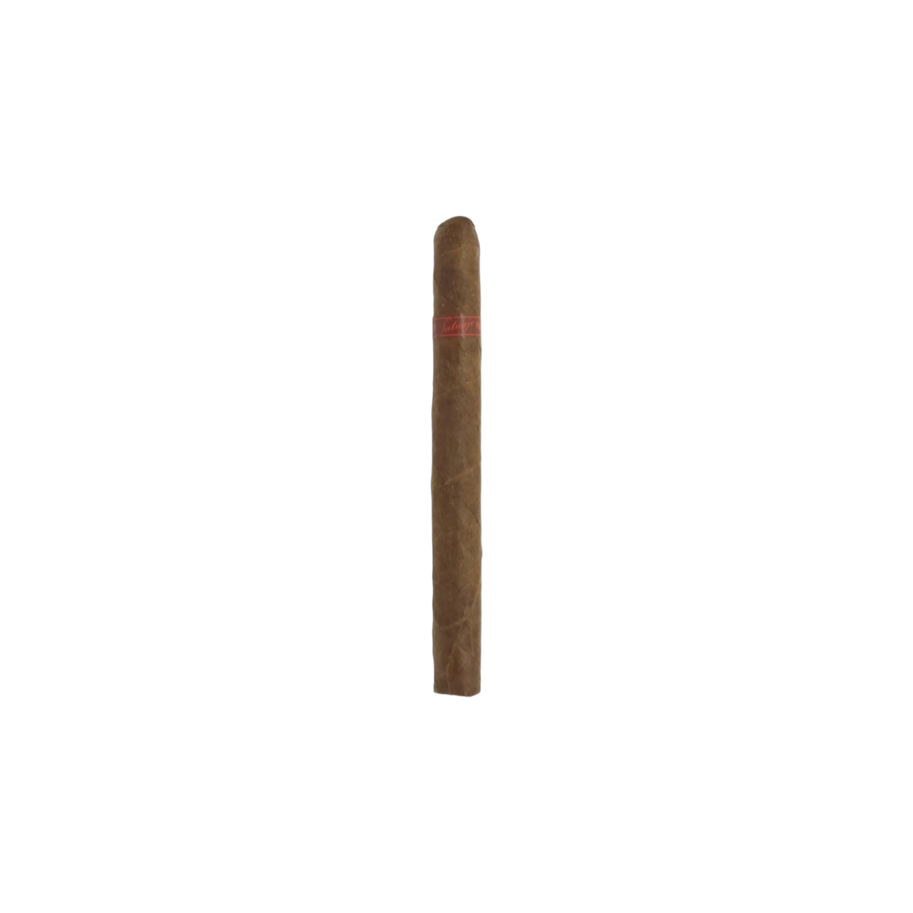 Tatuaje Skinny Monsters Wolf
